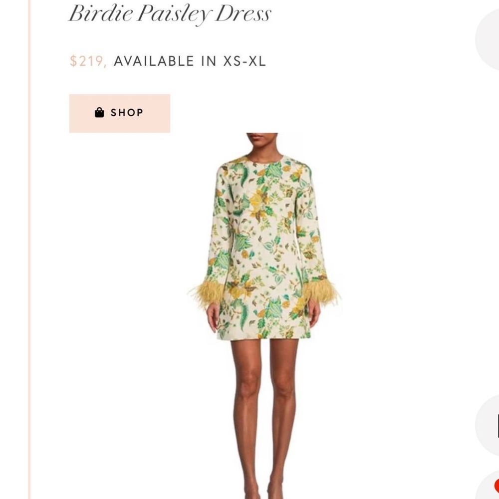 Floral Paisley Dress with Feather Cuffs